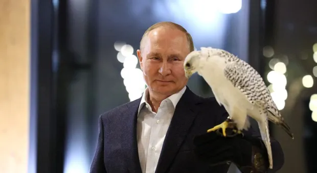 Как «авторитарные» идеи Путина становятся популярны у западных лидеров