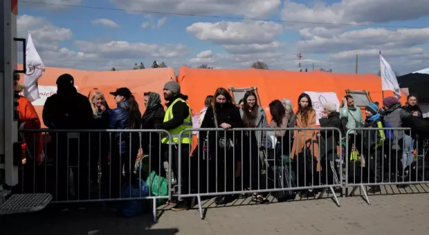 В Польше заявили о необходимости «свести счёты» с украинскими беженцами