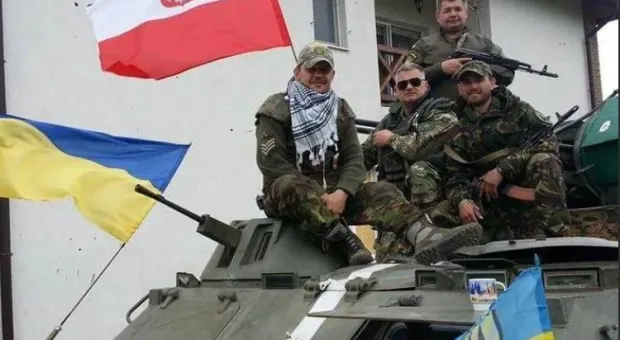 Минобороны РФ сообщило об уничтожении спецназом польских наемников 