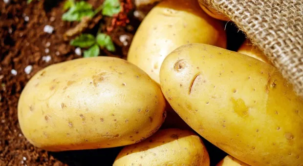 Учёные раскрыли неожиданную пользу картофеля
