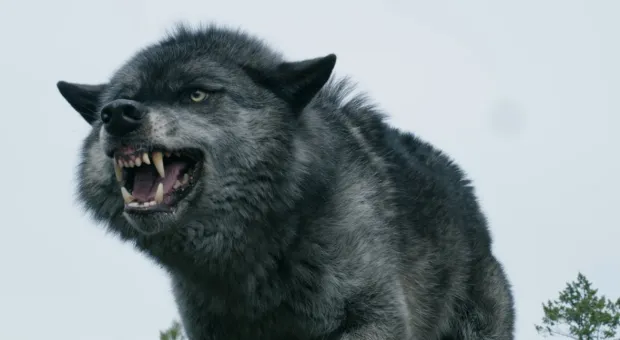 Новости Севастополя - Севастопольские хирурги восстановили лицо раненому бойцу