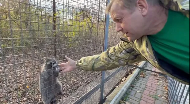 «Более зашуганные»: как чувствуют себя в Крыму животные из Херсонского зооуголка
