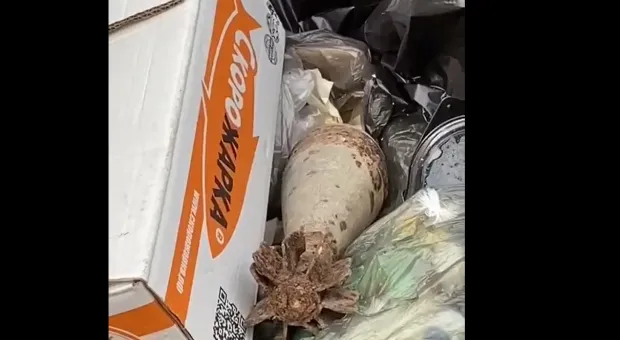 В Севастополе мину выбросили в мусорный бак 