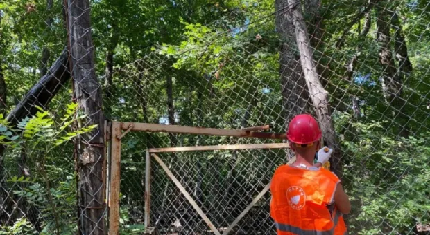 Забором в ООПТ Севастополя займутся демонтажники-высотники