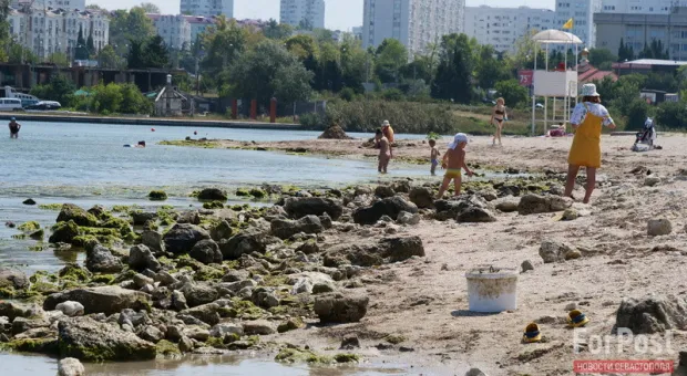 В Севастополе перезапустят популярный городской пляж