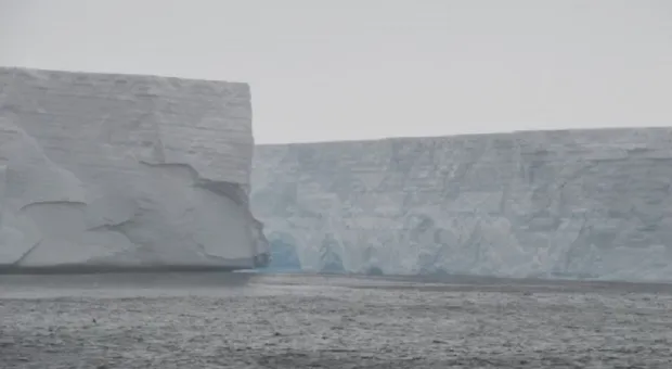 Дрейфующий гигантский айсберг угрожает морской жизни целого региона