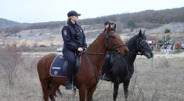 Севастопольские полицейские лошади вышли «в свет»