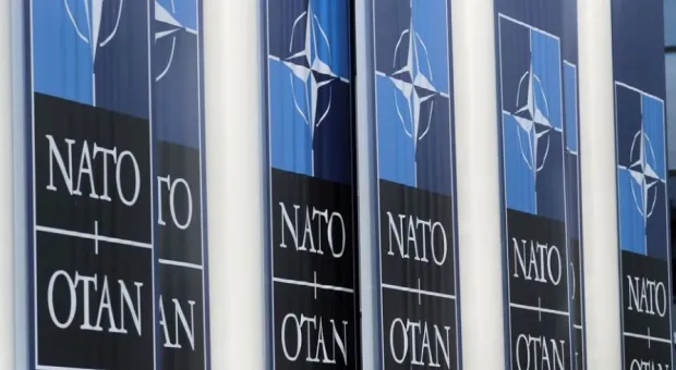 Мировые новости - Чебурашка ищет друзей: почему Си Цзиньпин отказался говорить с Зеленским