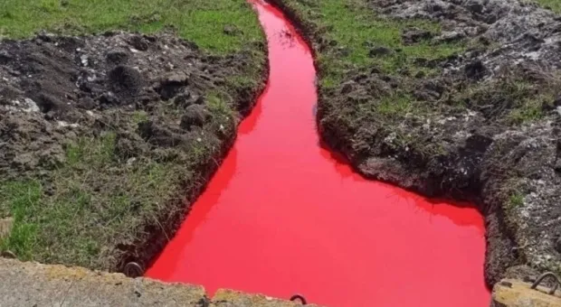 В двух российских регионах потекли «кровавые реки»