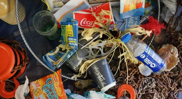 В Большом тихоокеанском мусорном пятне нашли необычное