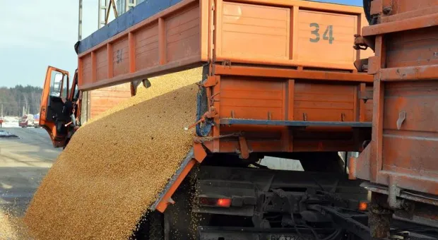 Мировые новости - Севастопольцы с проспекта Гагарина пробираются домой козьими тропами