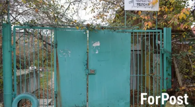На жильцов «дикой» севастопольской «Яблони» обрушилась новая напасть
