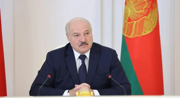 Зачем Лукашенко помиловал Протасевича