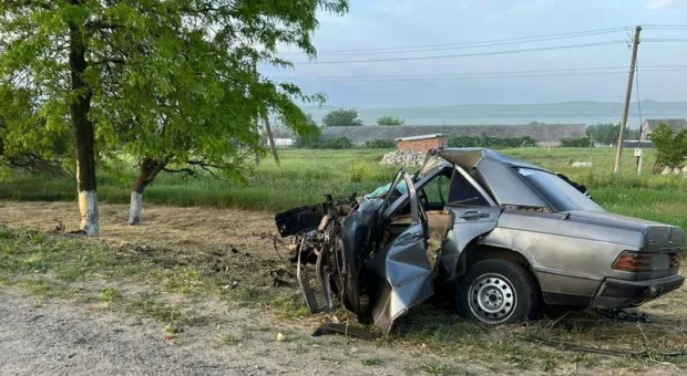 В ДТП с деревом на востоке Крыма погиб водитель