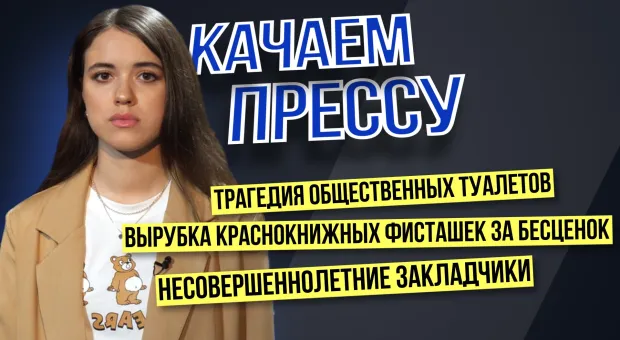 «Качаем прессу»: коллапс центра Севастополя из-за игрушки, смешной ущерб за вырубку 100 фисташек, туалетный кризис