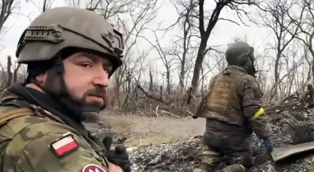 Варшава открестилась от атаковавших Белгородскую область польских наемников Варшава открестилась от атаковавших Белгородскую область польских наемников
