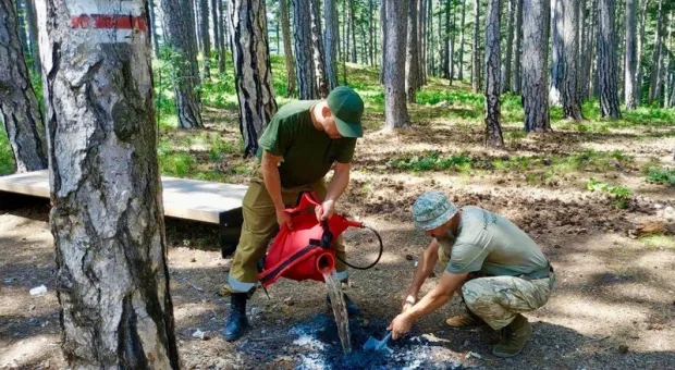 Более сотни любителей лесной романтики оштрафовали в крымских заповедниках 