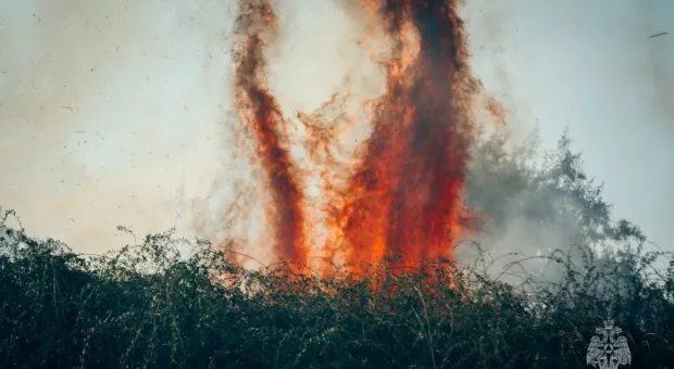 В Севастополе случился первый в году природный пожар 