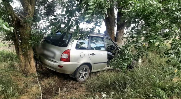 В Северном Крыму водитель насмерть разбилась о дерево