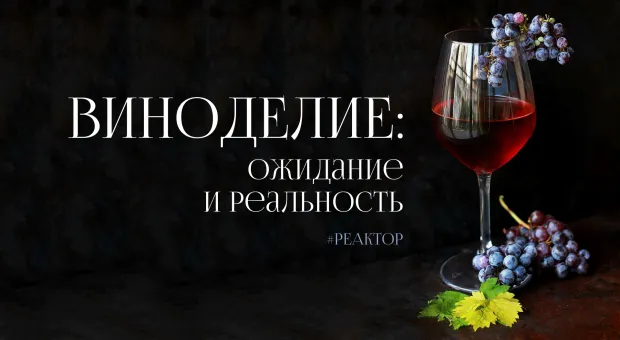 Севастопольское виноделие – занятие не для слабонервных? ForPost «Реактор»