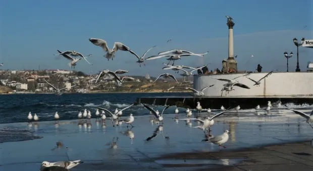 Севастополь получил федеральные полмиллиарда на поддержку туристической отрасли
