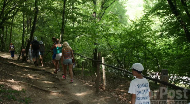 Туристам не дают отдыхать в севастопольских лесах «дикарём»