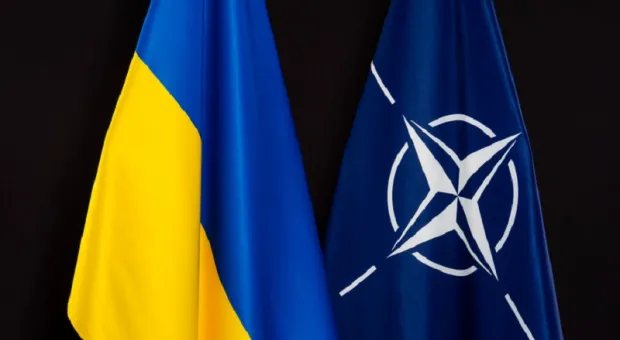 Мировые новости - Пиар на пепелище: откуда Зеленский черпает идеи