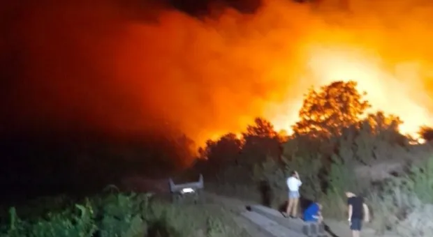 Пожар возле горного заповедника в Крыму тушили больше суток