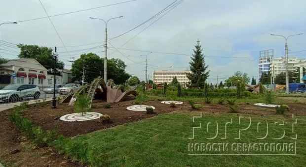 В Севастополе решили пересчитать общественные деревья
