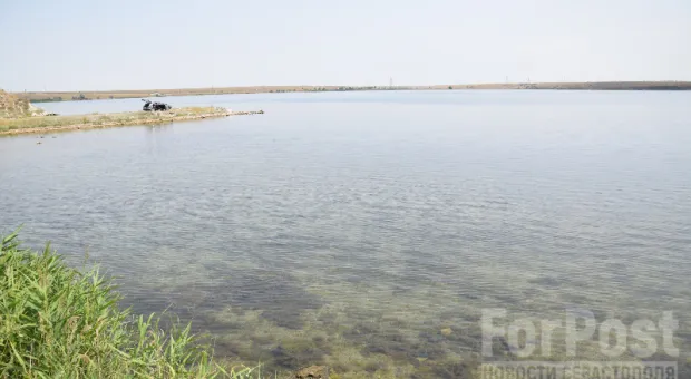Крымчане установили в Донузлаве ловушку для рыб и сами попали под суд