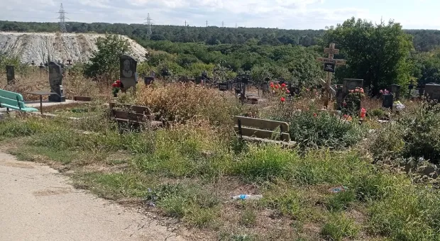Кладбище в Севастополе увеличат за счёт вырубки 3 тысяч деревьев
