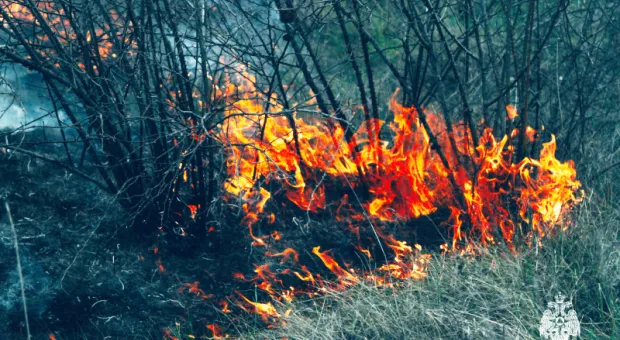 В сельской зоне Севастополя горит лес
