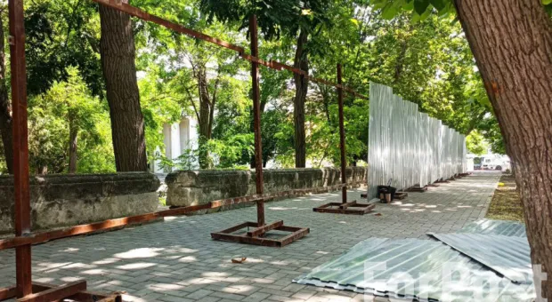 Любителю пластиковых деревьев отдали в ремонт сквер в центре Севастополя