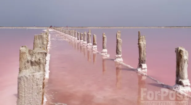В отличие от Крыма Севастополь не сберег свои соленые озера