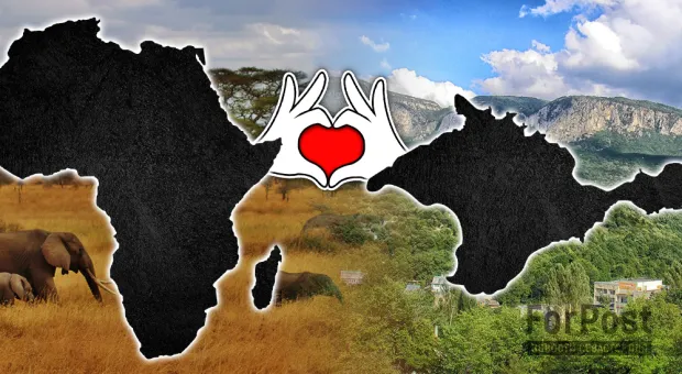 Африка стала ближе к Крыму после VI Ялтинского экономического форума