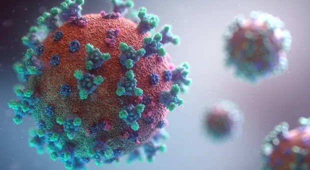 Обнаружены восемь новых вирусов, потенциально опасных для человека