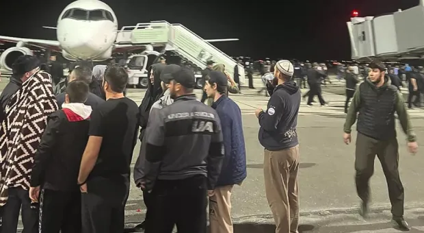 Мировые новости - Все животные равны, но некоторые равнее: как на МОК влияет политика