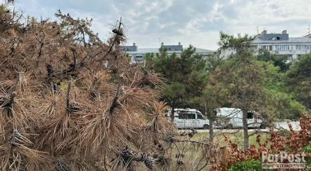 Новости Севастополя - 