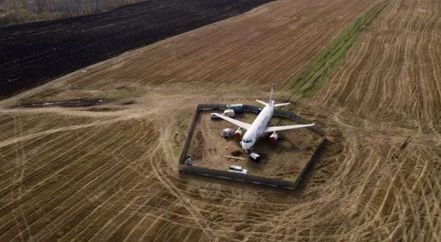 СМИ: Росавиация назвала причины посадки самолета на поле под Новосибирском