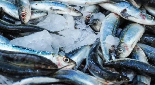 В Севастополе объяснили цену черноморской рыбы