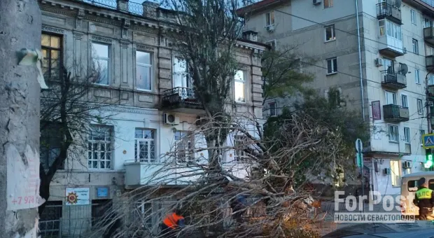 Разбушевавшаяся стихия в Севастополе уже наделала немало бед