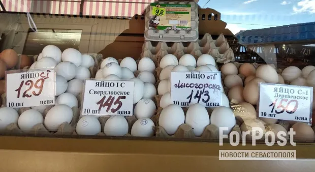 Торговцам предложили «по доброй воле» снять наценки на яйца