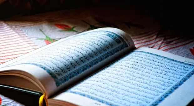Дания и Коран: как Европа начинает выбирать между толерантностью и безопасностью