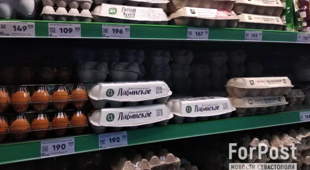 Экономист рассчитала цены на турецкие яйца в наших магазинах