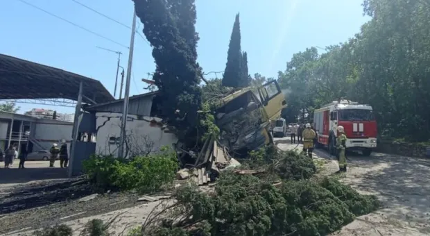 Водителя из Севастополя осудили за сбитого на юге Крыма подростка