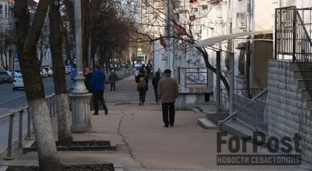 На улицах Севастополя к Новому году зацвела сирень