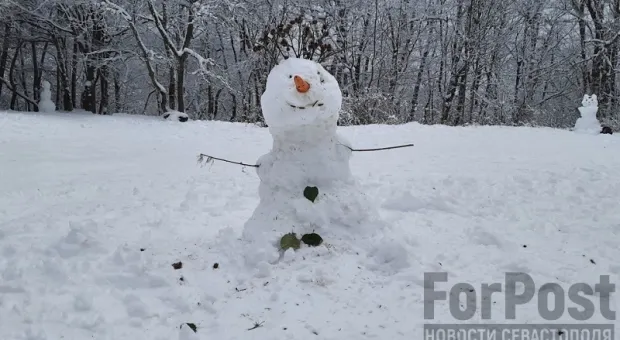 Неделя под знаком «минус»: Крым накроет морозами и снегопадами