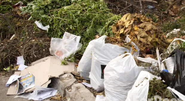 Ущерб только от одной свалки стройотходов в Севастополе превысил 53 миллиона рублей
