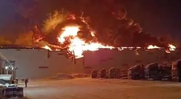 Названы три версии пожара на складе Wildberries в Петербурге