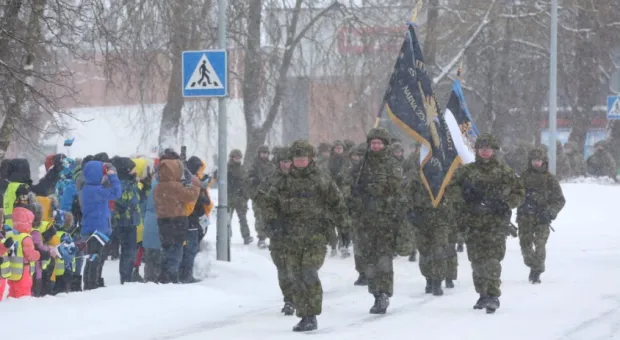 В Эстонии пожаловались на «русский» батальон